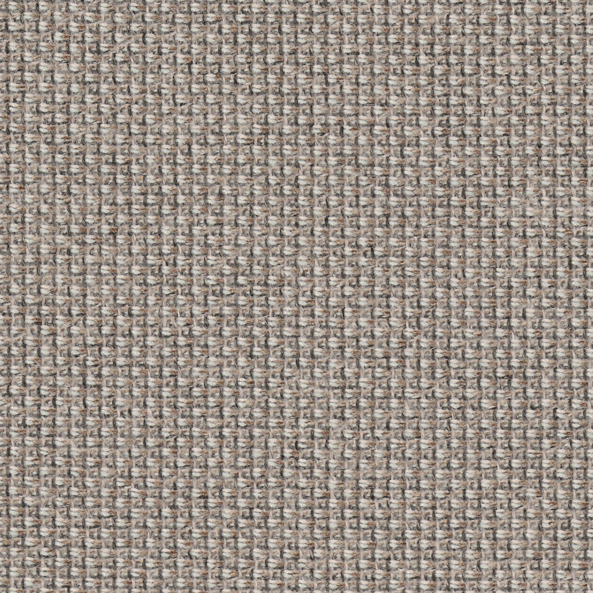 1101