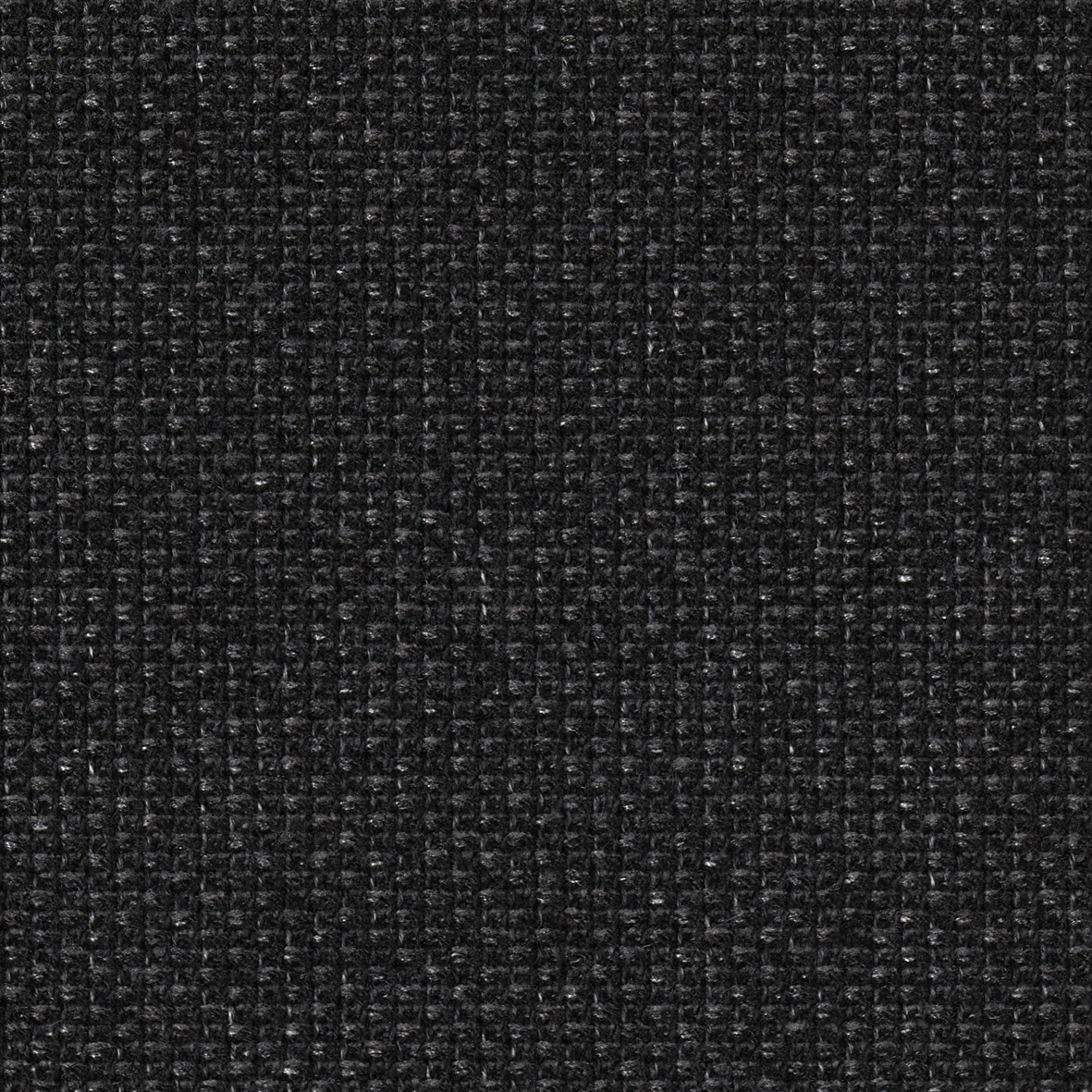 3101