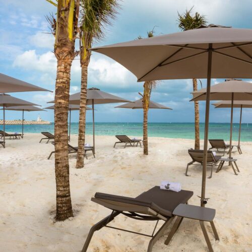 Parasols